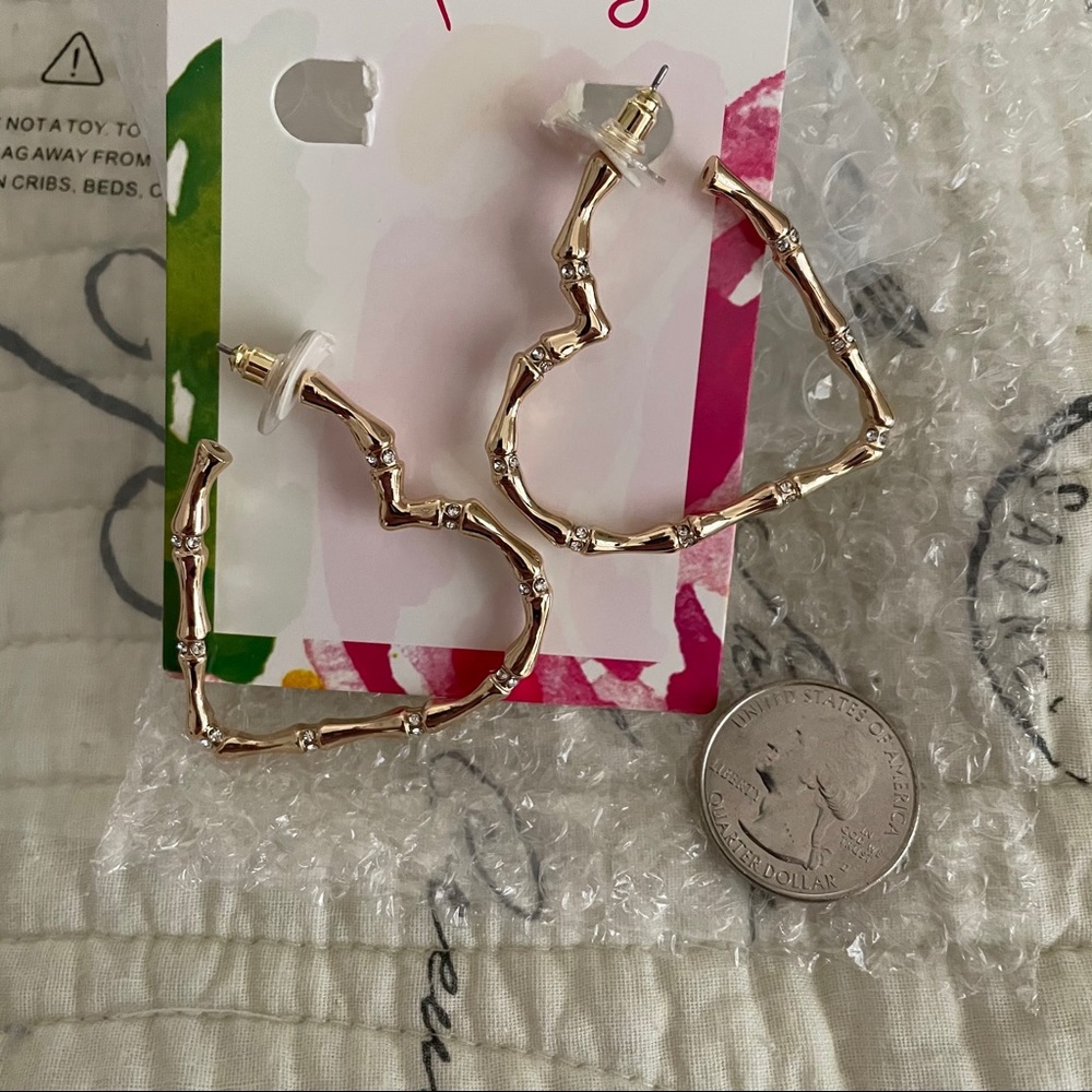NWT Heart Shapped Earrings